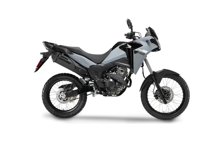 CINZA_STANDART0302 HONDA 29-06-26